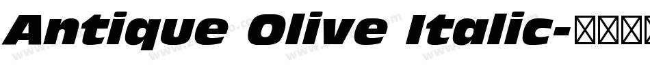 Antique Olive Italic字体转换